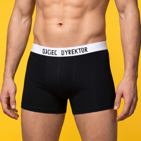 Ojciec Dyrektor – Bokserki bambusowe męskie