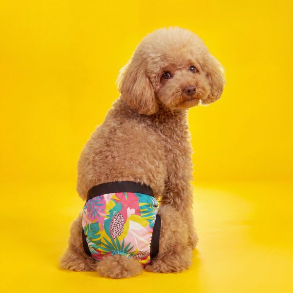 Majtki na cieczkę – Kolorowe