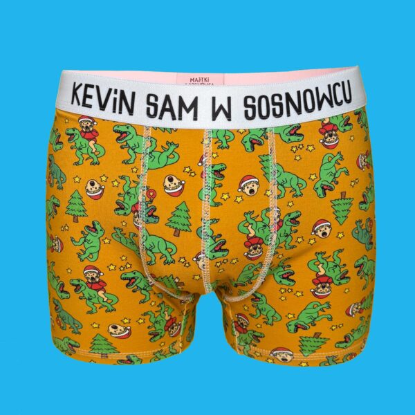 Kevin Sam w Sosnowcu – Bokserki z bawełny – dino