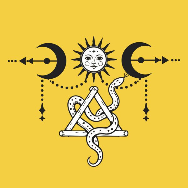 Snake – majtki bambusowe – falbanki – czarne
